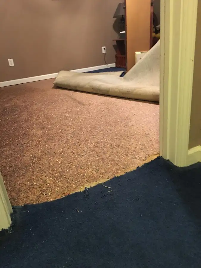 Carpet pad removal revealing water damage during Water Mitigation Services in Lapeer