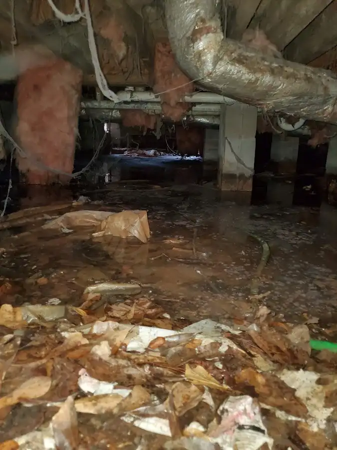 Crawl space flood assessment for Leak Detection & Repair in Lapeer