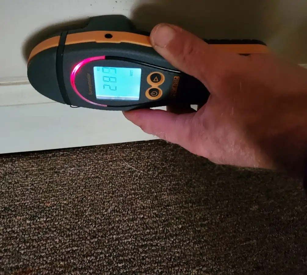 Moisture detection at baseboard during Burst Pipe Cleanup in Lapeer